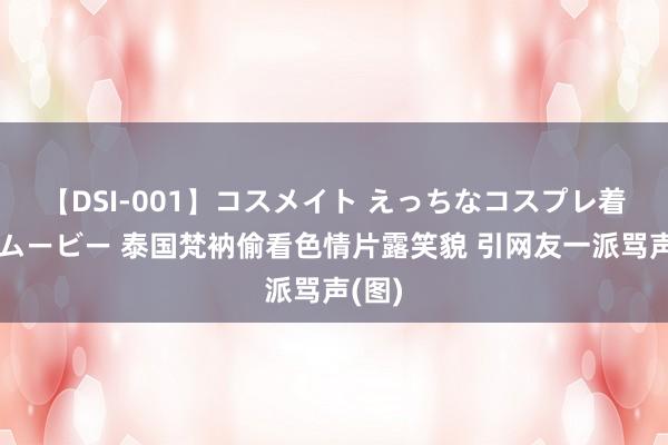 【DSI-001】コスメイト えっちなコスプレ着エロムービー 泰国梵衲偷看色情片露笑貌 引网友一派骂声(图)