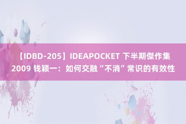 【IDBD-205】IDEAPOCKET 下半期傑作集2009 钱颖一：如何交融“不消”常识的有效性