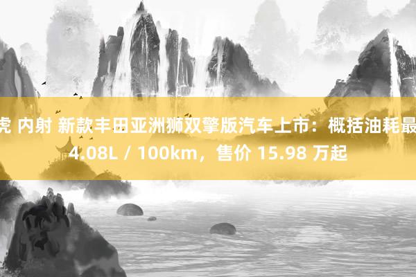 白虎 内射 新款丰田亚洲狮双擎版汽车上市：概括油耗最低 4.08L / 100km，售价 15.98 万起