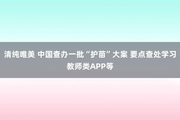 清纯唯美 中国查办一批“护苗”大案 要点查处学习教师类APP等