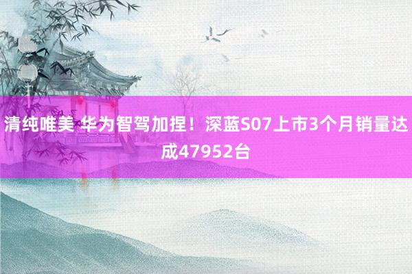 清纯唯美 华为智驾加捏！深蓝S07上市3个月销量达成47952台