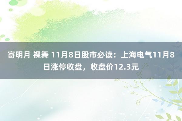 寄明月 裸舞 11月8日股市必读：上海电气11月8日涨停收盘，收盘价12.3元