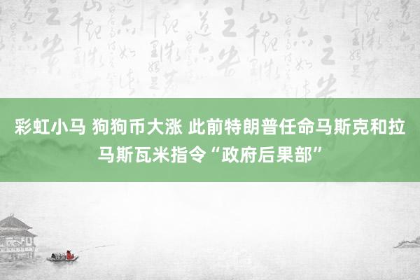 彩虹小马 狗狗币大涨 此前特朗普任命马斯克和拉马斯瓦米指令“政府后果部”