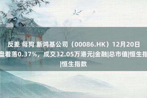 反差 母狗 新鸿基公司（00086.HK）12月20日收盘着落0.37%，成交32.05万港元|金融|总市值|恒生指数