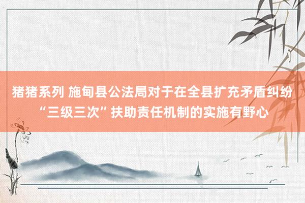 猪猪系列 施甸县公法局对于在全县扩充矛盾纠纷“三级三次”扶助责任机制的实施有野心