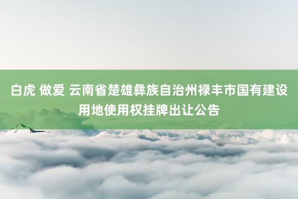 白虎 做爱 云南省楚雄彝族自治州禄丰市国有建设用地使用权挂牌出让公告